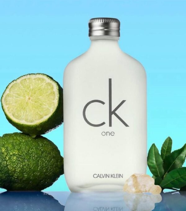Calvin Klein CK One Eau De Toilette 100 ml Unisex